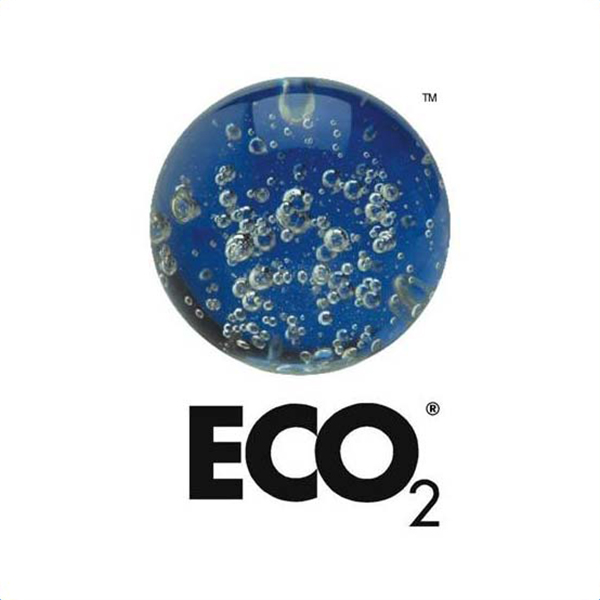A blue sphere filled with bubbles appears above the bold black text ECO₂ on a white background.