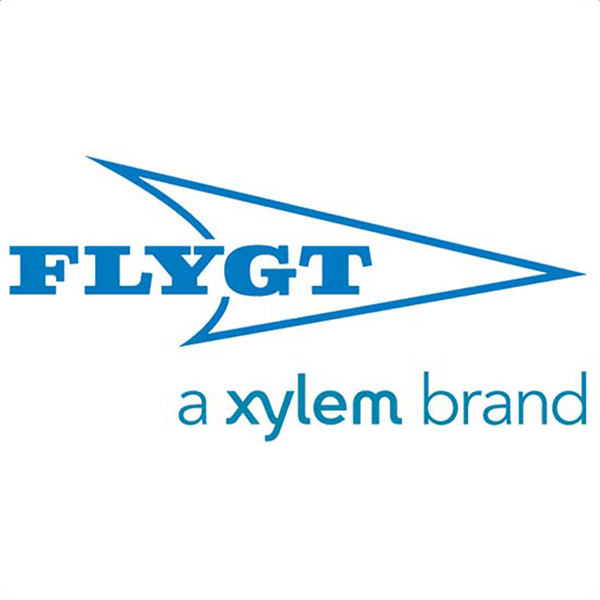 Blue logo with the word FLYGT inside a stylized arrow shape, above the text a xylem brand on a white background.
