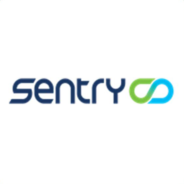 The image shows the word sentry in lowercase blue letters followed by an interlocking green and blue infinity symbol on a white background.